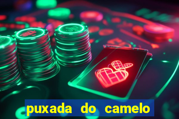 puxada do camelo jogo do bicho